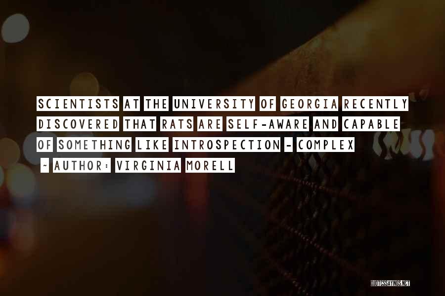 Virginia Morell Quotes: Scientists At The University Of Georgia Recently Discovered That Rats Are Self-aware And Capable Of Something Like Introspection - Complex