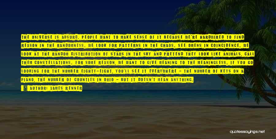 James Renner Quotes: The Universe Is Absurd. People Want To Make Sense Of It Because We're Hardwired To Find Reason In The Randomness.