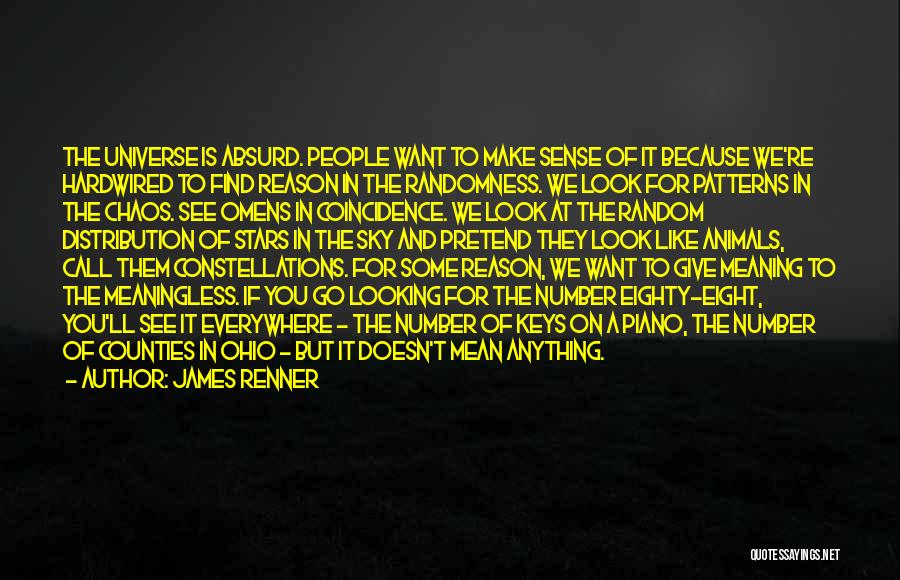 James Renner Quotes: The Universe Is Absurd. People Want To Make Sense Of It Because We're Hardwired To Find Reason In The Randomness.