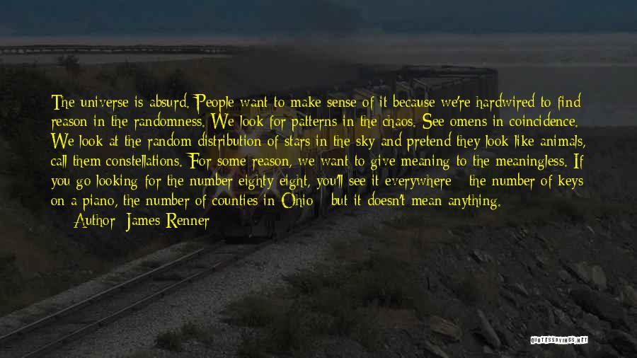 James Renner Quotes: The Universe Is Absurd. People Want To Make Sense Of It Because We're Hardwired To Find Reason In The Randomness.