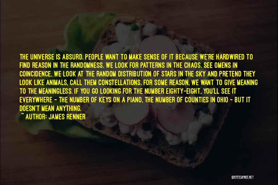 James Renner Quotes: The Universe Is Absurd. People Want To Make Sense Of It Because We're Hardwired To Find Reason In The Randomness.