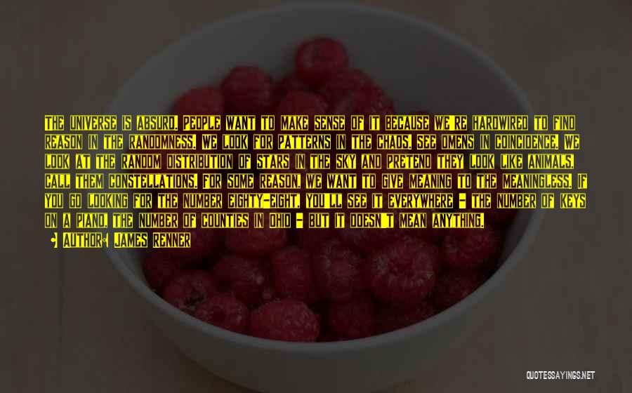 James Renner Quotes: The Universe Is Absurd. People Want To Make Sense Of It Because We're Hardwired To Find Reason In The Randomness.