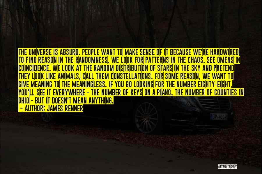 James Renner Quotes: The Universe Is Absurd. People Want To Make Sense Of It Because We're Hardwired To Find Reason In The Randomness.