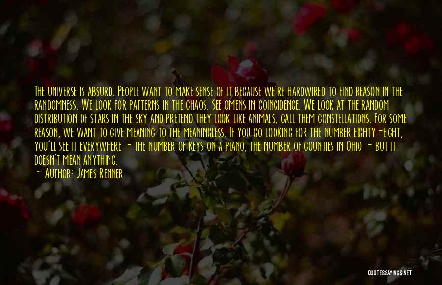 James Renner Quotes: The Universe Is Absurd. People Want To Make Sense Of It Because We're Hardwired To Find Reason In The Randomness.