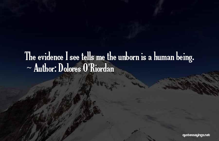 Dolores O'Riordan Quotes: The Evidence I See Tells Me The Unborn Is A Human Being.