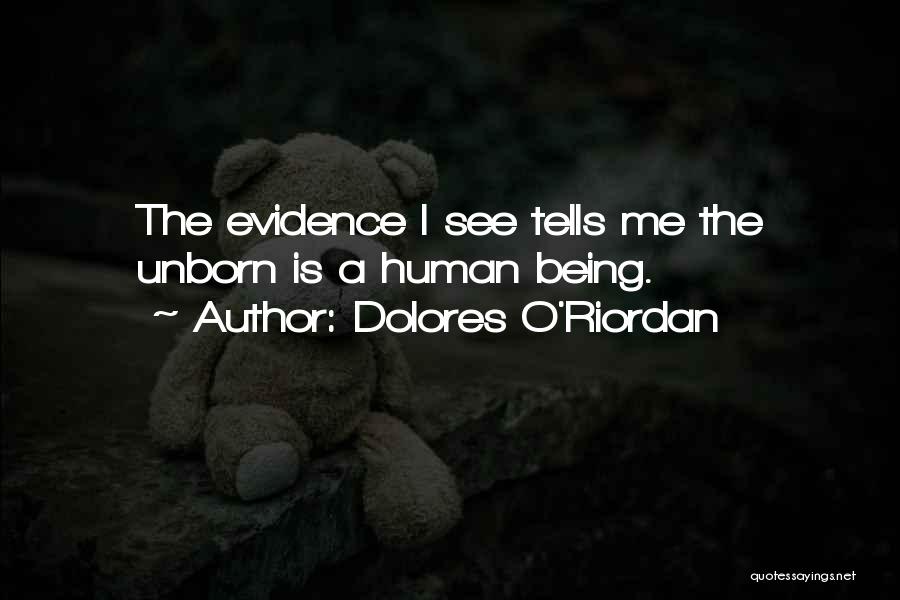 Dolores O'Riordan Quotes: The Evidence I See Tells Me The Unborn Is A Human Being.