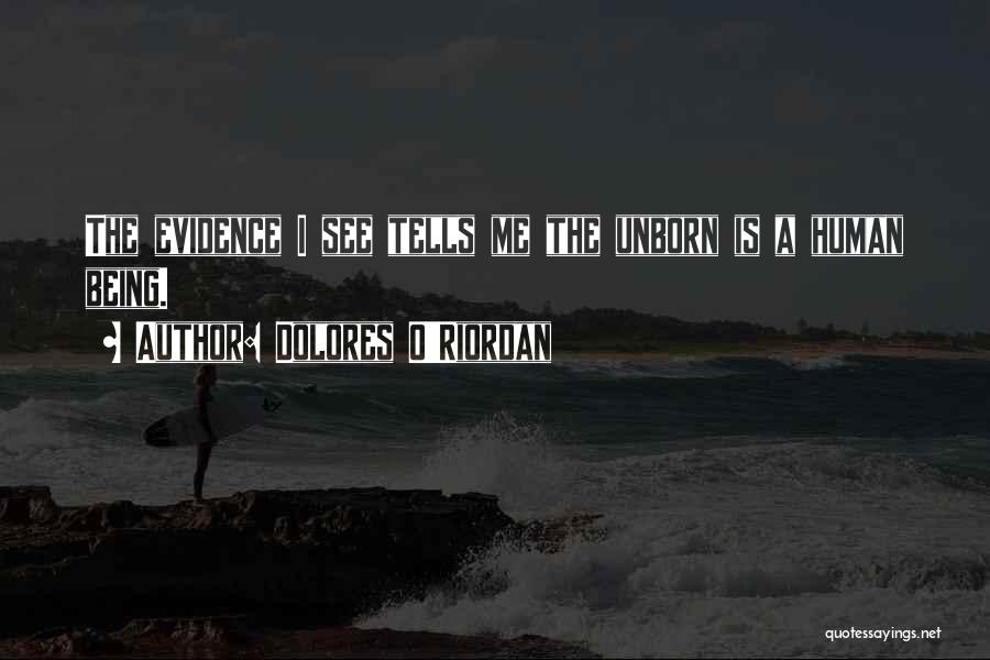 Dolores O'Riordan Quotes: The Evidence I See Tells Me The Unborn Is A Human Being.