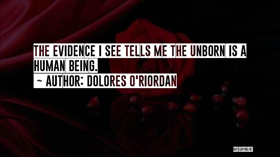 Dolores O'Riordan Quotes: The Evidence I See Tells Me The Unborn Is A Human Being.