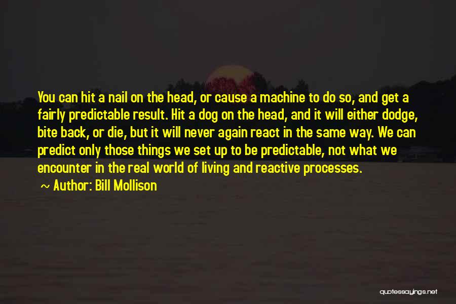 Bill Mollison Quotes: You Can Hit A Nail On The Head, Or Cause A Machine To Do So, And Get A Fairly Predictable