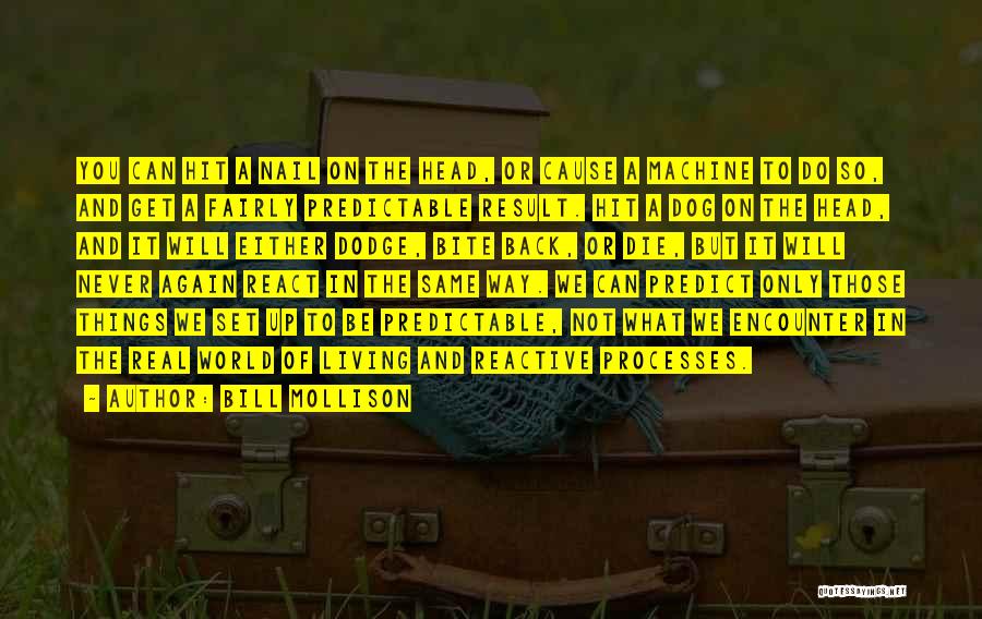 Bill Mollison Quotes: You Can Hit A Nail On The Head, Or Cause A Machine To Do So, And Get A Fairly Predictable