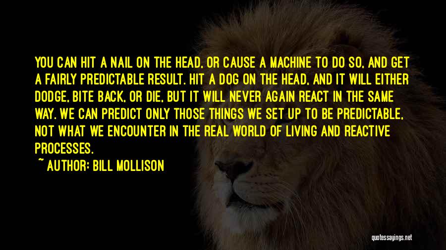 Bill Mollison Quotes: You Can Hit A Nail On The Head, Or Cause A Machine To Do So, And Get A Fairly Predictable