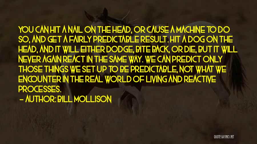 Bill Mollison Quotes: You Can Hit A Nail On The Head, Or Cause A Machine To Do So, And Get A Fairly Predictable