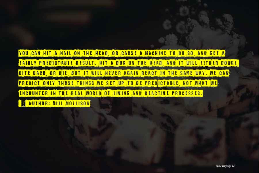 Bill Mollison Quotes: You Can Hit A Nail On The Head, Or Cause A Machine To Do So, And Get A Fairly Predictable
