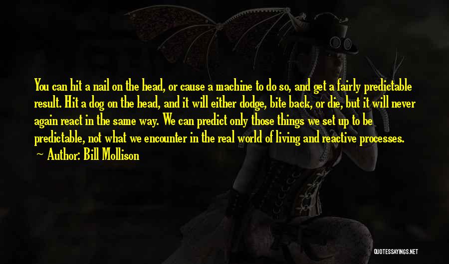 Bill Mollison Quotes: You Can Hit A Nail On The Head, Or Cause A Machine To Do So, And Get A Fairly Predictable