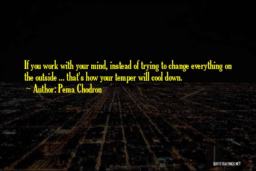 Pema Chodron Quotes: If You Work With Your Mind, Instead Of Trying To Change Everything On The Outside ... That's How Your Temper
