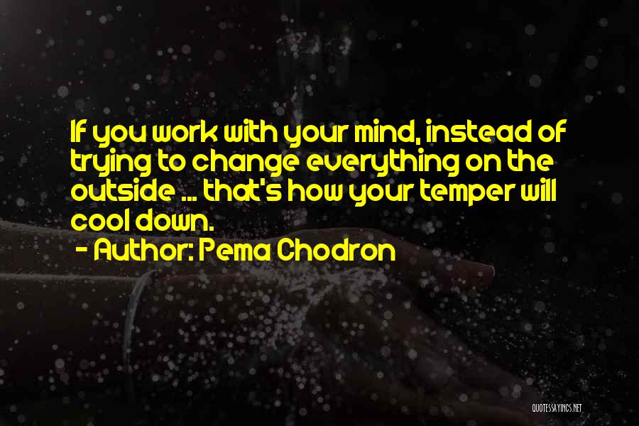 Pema Chodron Quotes: If You Work With Your Mind, Instead Of Trying To Change Everything On The Outside ... That's How Your Temper