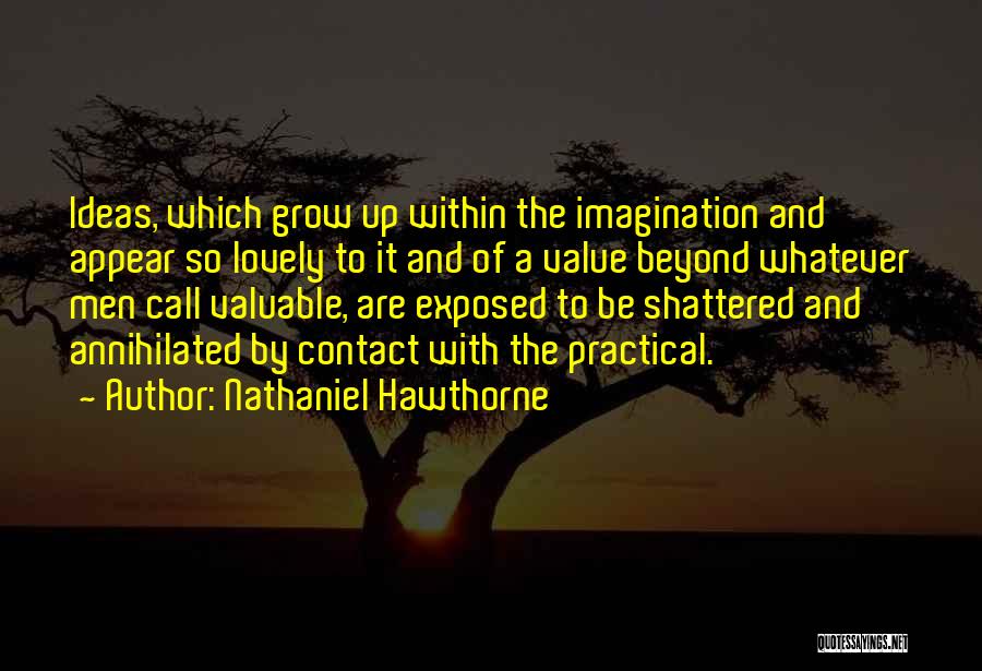 Nathaniel Hawthorne Quotes: Ideas, Which Grow Up Within The Imagination And Appear So Lovely To It And Of A Value Beyond Whatever Men