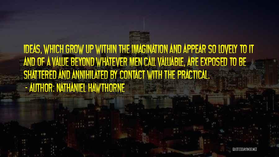 Nathaniel Hawthorne Quotes: Ideas, Which Grow Up Within The Imagination And Appear So Lovely To It And Of A Value Beyond Whatever Men