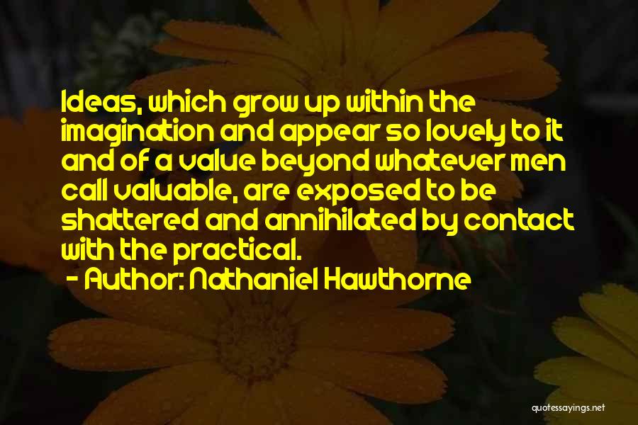 Nathaniel Hawthorne Quotes: Ideas, Which Grow Up Within The Imagination And Appear So Lovely To It And Of A Value Beyond Whatever Men