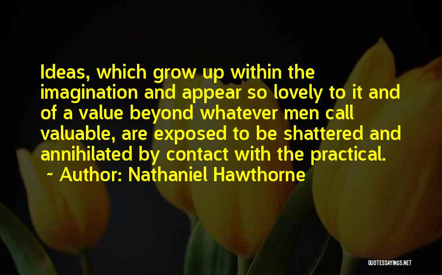 Nathaniel Hawthorne Quotes: Ideas, Which Grow Up Within The Imagination And Appear So Lovely To It And Of A Value Beyond Whatever Men