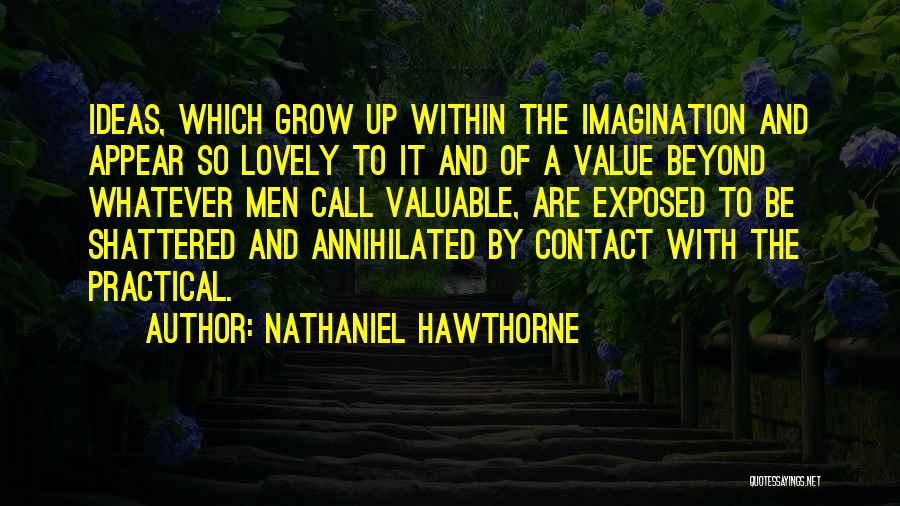 Nathaniel Hawthorne Quotes: Ideas, Which Grow Up Within The Imagination And Appear So Lovely To It And Of A Value Beyond Whatever Men