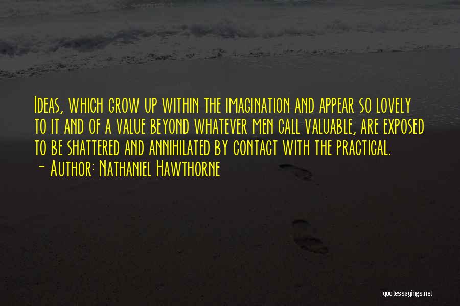 Nathaniel Hawthorne Quotes: Ideas, Which Grow Up Within The Imagination And Appear So Lovely To It And Of A Value Beyond Whatever Men