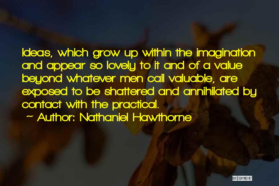 Nathaniel Hawthorne Quotes: Ideas, Which Grow Up Within The Imagination And Appear So Lovely To It And Of A Value Beyond Whatever Men