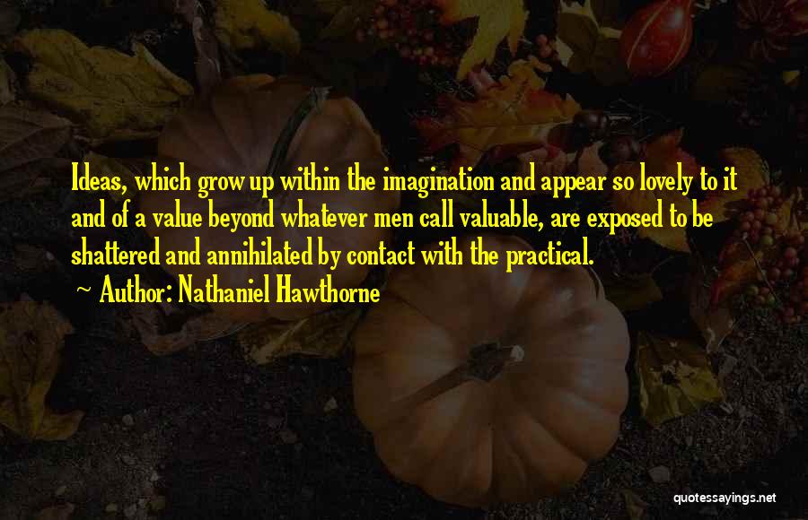 Nathaniel Hawthorne Quotes: Ideas, Which Grow Up Within The Imagination And Appear So Lovely To It And Of A Value Beyond Whatever Men