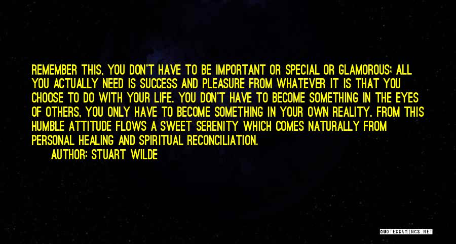 Stuart Wilde Quotes: Remember This, You Don't Have To Be Important Or Special Or Glamorous; All You Actually Need Is Success And Pleasure