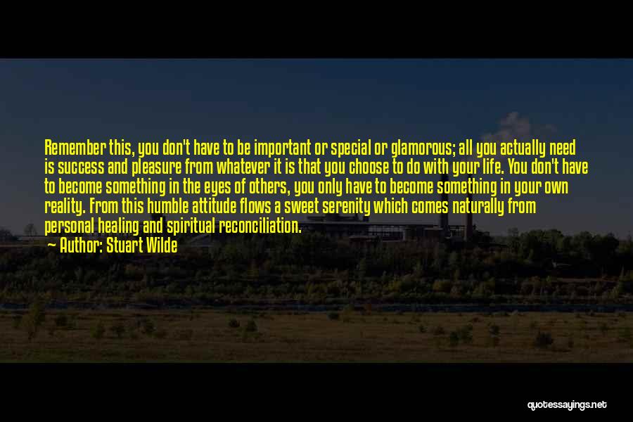 Stuart Wilde Quotes: Remember This, You Don't Have To Be Important Or Special Or Glamorous; All You Actually Need Is Success And Pleasure