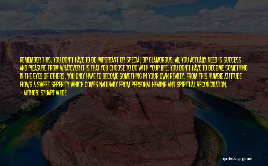 Stuart Wilde Quotes: Remember This, You Don't Have To Be Important Or Special Or Glamorous; All You Actually Need Is Success And Pleasure