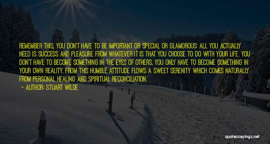 Stuart Wilde Quotes: Remember This, You Don't Have To Be Important Or Special Or Glamorous; All You Actually Need Is Success And Pleasure