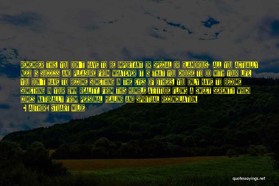 Stuart Wilde Quotes: Remember This, You Don't Have To Be Important Or Special Or Glamorous; All You Actually Need Is Success And Pleasure