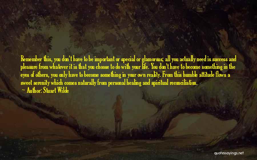 Stuart Wilde Quotes: Remember This, You Don't Have To Be Important Or Special Or Glamorous; All You Actually Need Is Success And Pleasure