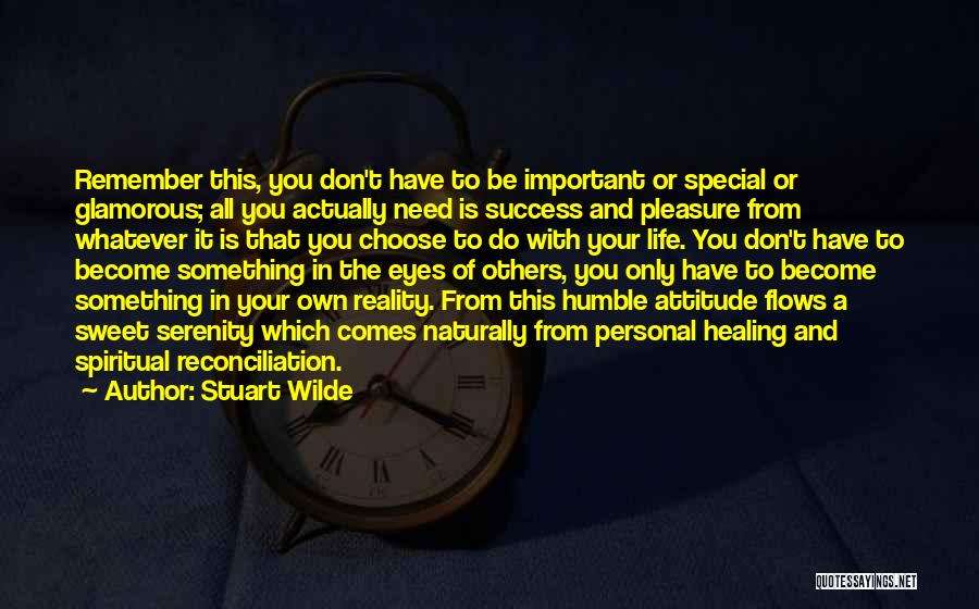 Stuart Wilde Quotes: Remember This, You Don't Have To Be Important Or Special Or Glamorous; All You Actually Need Is Success And Pleasure