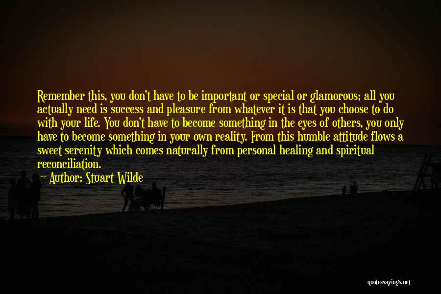 Stuart Wilde Quotes: Remember This, You Don't Have To Be Important Or Special Or Glamorous; All You Actually Need Is Success And Pleasure