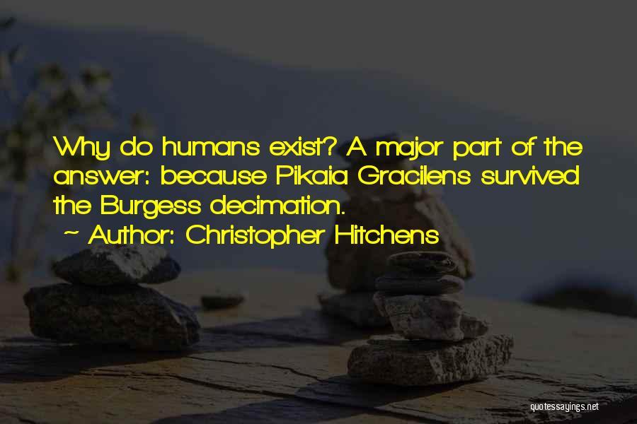 Christopher Hitchens Quotes: Why Do Humans Exist? A Major Part Of The Answer: Because Pikaia Gracilens Survived The Burgess Decimation.