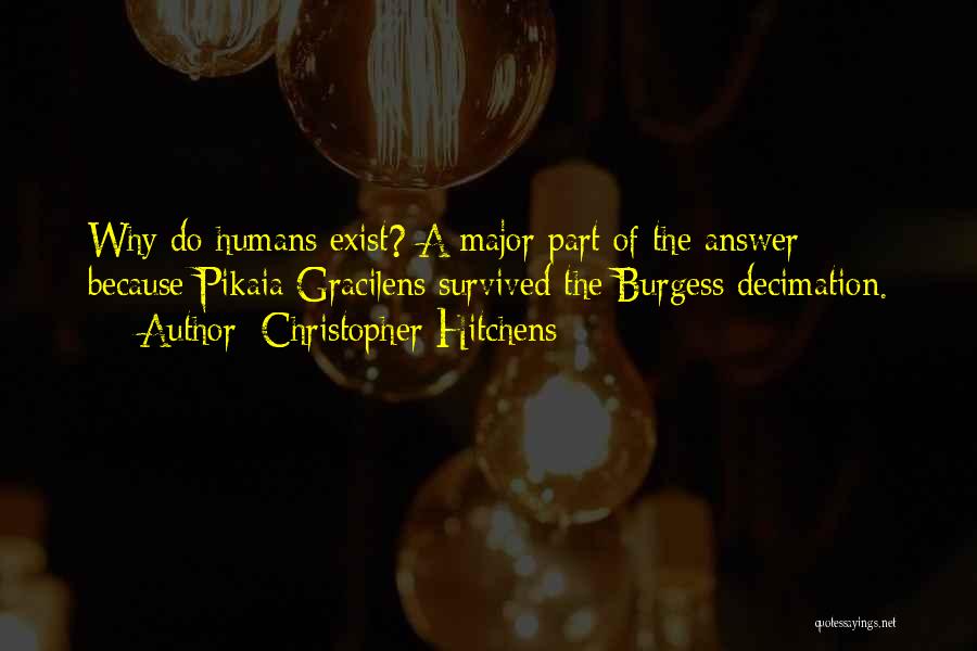 Christopher Hitchens Quotes: Why Do Humans Exist? A Major Part Of The Answer: Because Pikaia Gracilens Survived The Burgess Decimation.