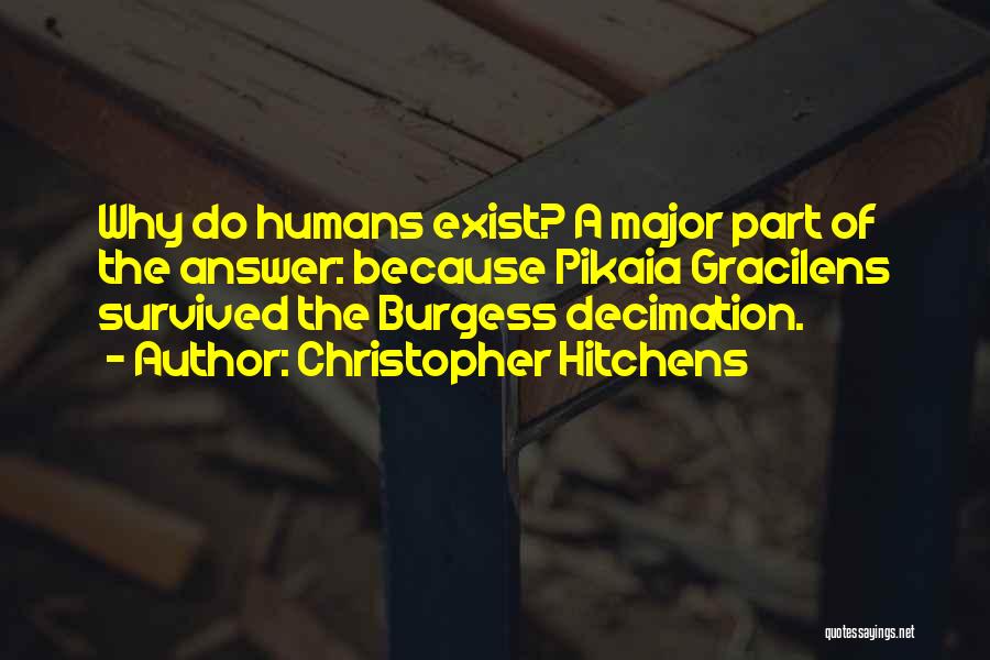 Christopher Hitchens Quotes: Why Do Humans Exist? A Major Part Of The Answer: Because Pikaia Gracilens Survived The Burgess Decimation.