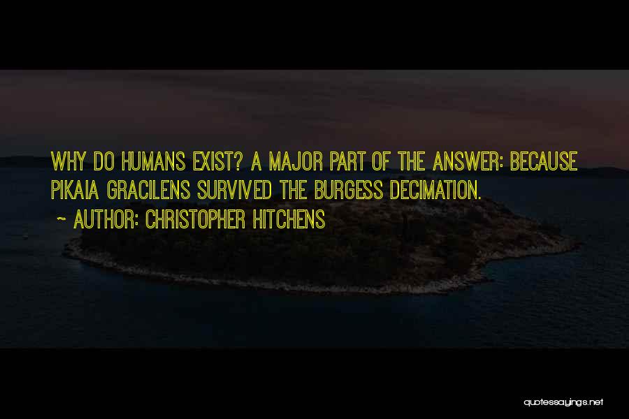 Christopher Hitchens Quotes: Why Do Humans Exist? A Major Part Of The Answer: Because Pikaia Gracilens Survived The Burgess Decimation.