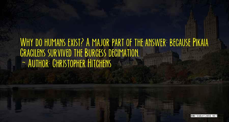 Christopher Hitchens Quotes: Why Do Humans Exist? A Major Part Of The Answer: Because Pikaia Gracilens Survived The Burgess Decimation.