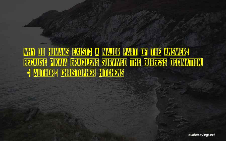 Christopher Hitchens Quotes: Why Do Humans Exist? A Major Part Of The Answer: Because Pikaia Gracilens Survived The Burgess Decimation.