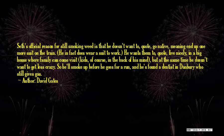 David Gates Quotes: Seth's Official Reason For Still Smoking Weed Is That He Doesn't Want To, Quote, Go Native, Meaning End Up One