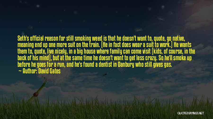 David Gates Quotes: Seth's Official Reason For Still Smoking Weed Is That He Doesn't Want To, Quote, Go Native, Meaning End Up One