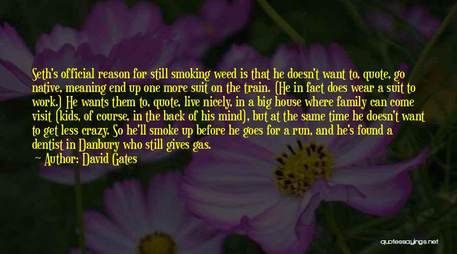 David Gates Quotes: Seth's Official Reason For Still Smoking Weed Is That He Doesn't Want To, Quote, Go Native, Meaning End Up One