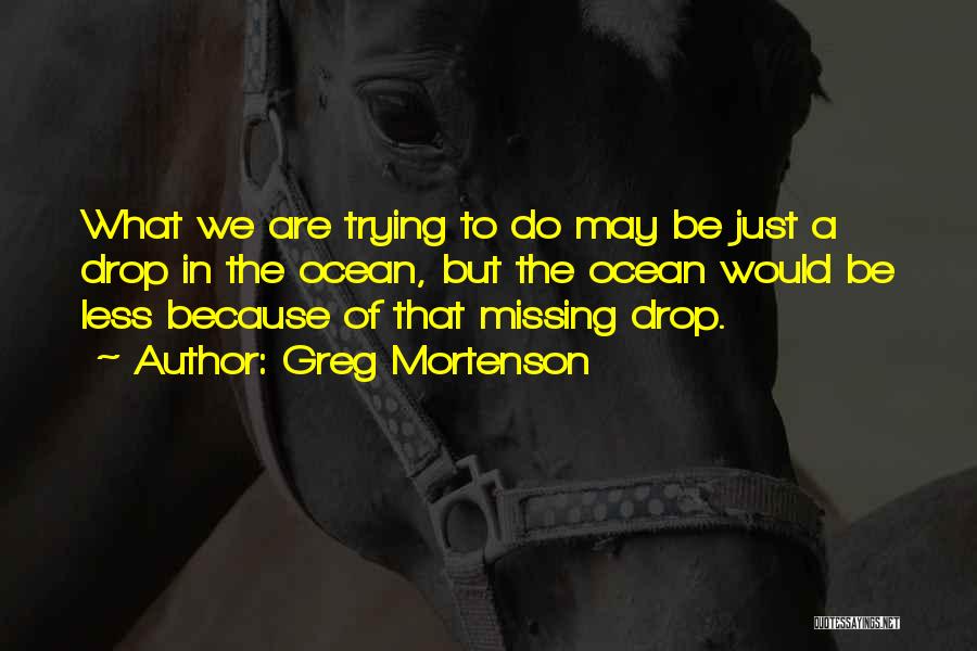 Greg Mortenson Quotes: What We Are Trying To Do May Be Just A Drop In The Ocean, But The Ocean Would Be Less