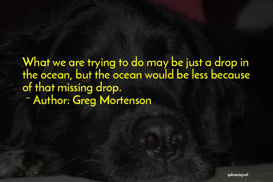 Greg Mortenson Quotes: What We Are Trying To Do May Be Just A Drop In The Ocean, But The Ocean Would Be Less