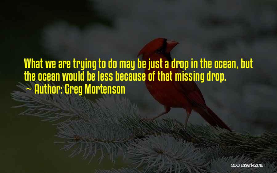 Greg Mortenson Quotes: What We Are Trying To Do May Be Just A Drop In The Ocean, But The Ocean Would Be Less