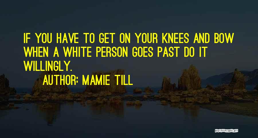 Mamie Till Quotes: If You Have To Get On Your Knees And Bow When A White Person Goes Past Do It Willingly.