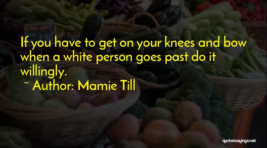 Mamie Till Quotes: If You Have To Get On Your Knees And Bow When A White Person Goes Past Do It Willingly.